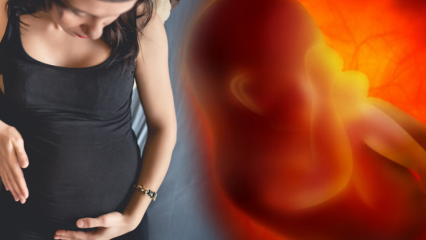 Avez-vous des règles pendant votre grossesse? Provoque des saignements pendant la grossesse?