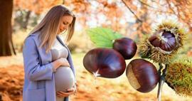 Les femmes enceintes peuvent-elles manger des châtaignes? Avantages de manger des châtaignes pendant la grossesse pour le bébé et la mère