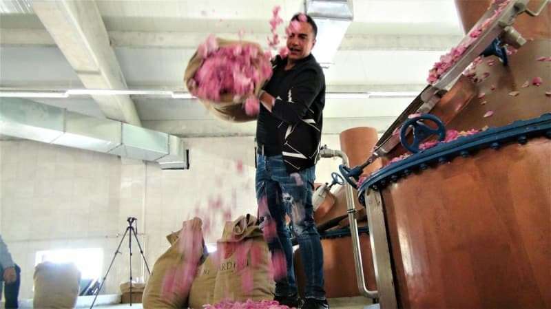 Berdan Mardini a créé une usine d'huile de rose dans sa ville natale!