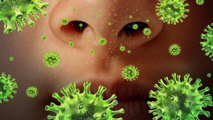 Réémergence: qu'est-ce que le virus Sars et quels sont ses symptômes? Comment le virus Sars se transmet-il?