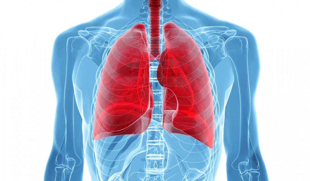 Qu’est-ce que le syndrome du poumon blanc et quels sont ses symptômes? Quel est le traitement du syndrome du poumon blanc ?