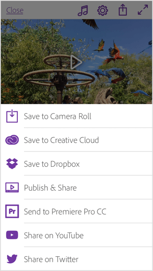 Partagez votre vidéo Adobe Premiere Clip directement sur YouTube et Twitter, ou enregistrez-la dans votre galerie ou Creative Cloud