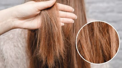 Que faire des cheveux brûlés par une orya? Comment prendre soin des cheveux traités?