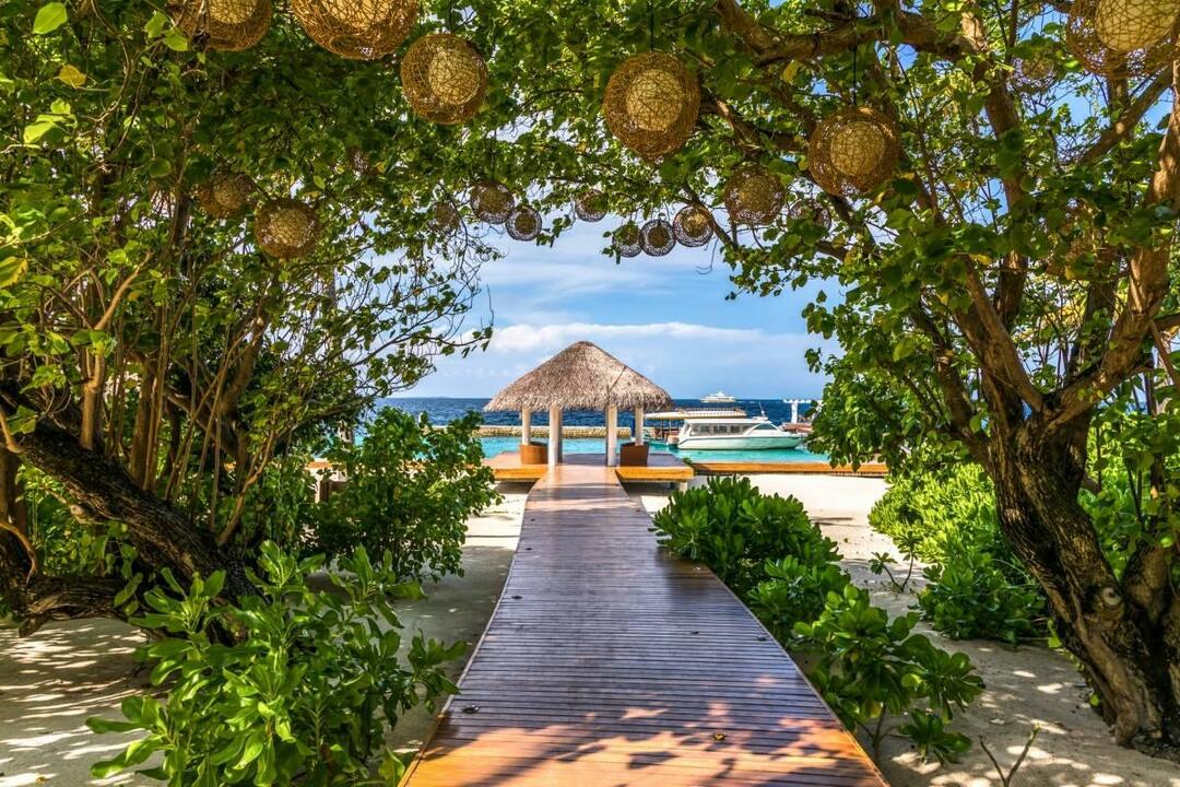 Vos vacances de rêve deviennent réalité aux Maldives !