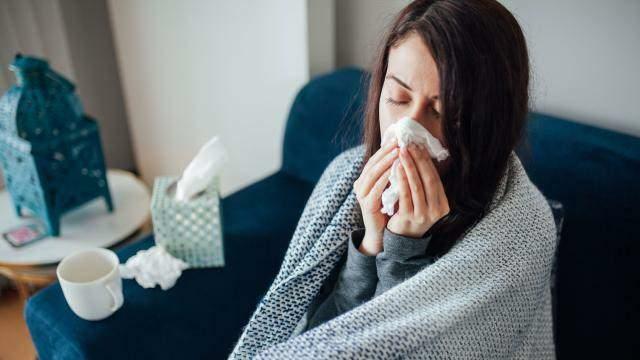 Le système immunitaire influence l'augmentation des cas de grippe