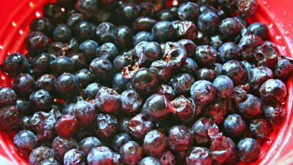 Quels sont les avantages de la prune Güvem (Çakal)? Comment la prune est-elle consommée?