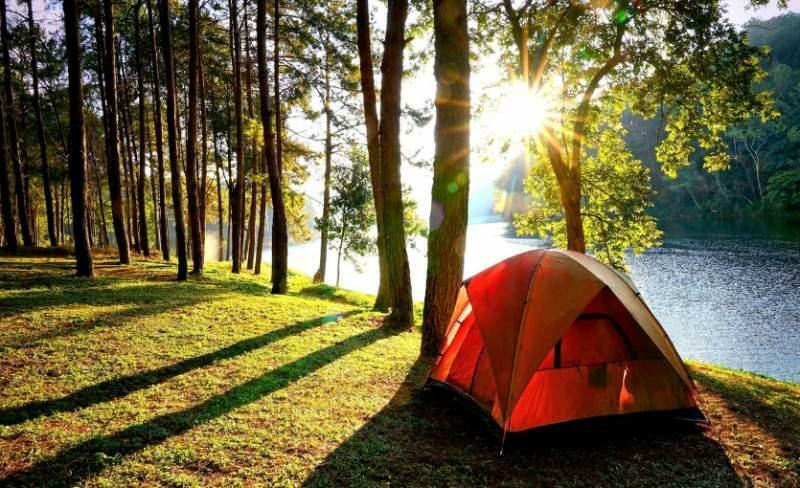 Camping dans la forêt de Belgrade 