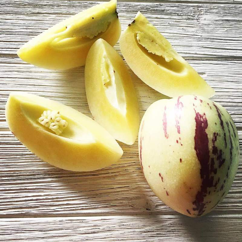 le fruit du pépino est riche en vitamine C