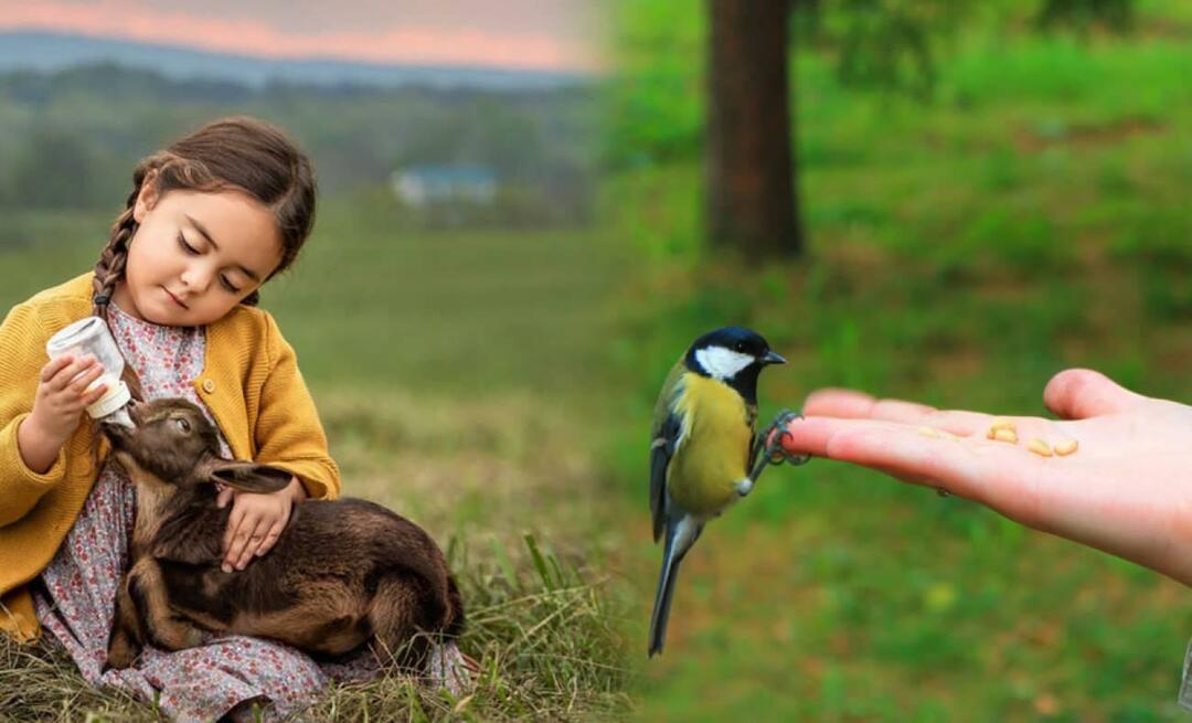 38e de la sourate An'am Que dit le verset? Récitation de la sourate An'am et sa signification turque...