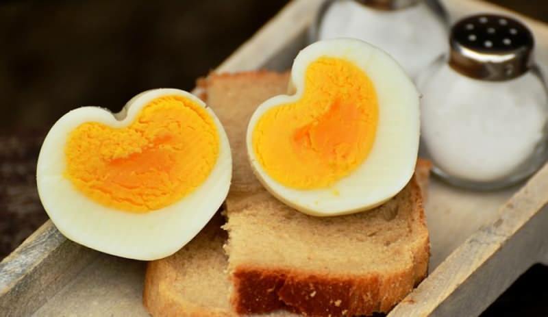 Comment conserver l'œuf à la coque? Conseils pour une ébullition idéale des œufs