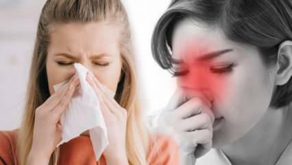 Qu'est-ce que la rhinite allergique? Quels sont les symptômes de la rhinite allergique? Existe-t-il un traitement contre la rhinite allergique ?