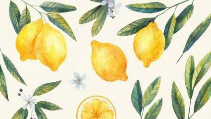 Les meilleures recettes à base de citron! La recette de dessert au citron la plus simple