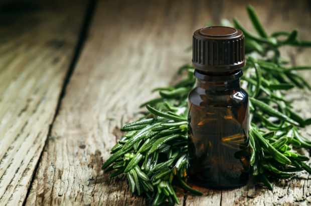 l'huile d'arbre à thé est utilisée pour traiter l'acné et les imperfections