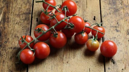 Comment prévenir la pourriture des tomates? Comment prévenir la teigne de la tomate? 