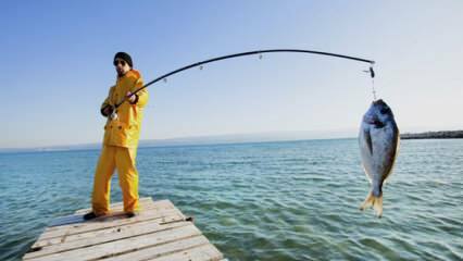 Comment pêcher? Quels sont les trucs de la pêche avec une canne à pêche?