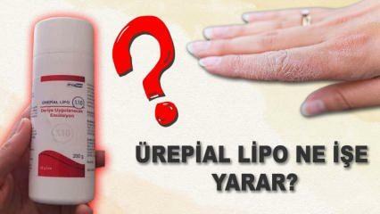 Qu'est-ce que la crème lipo urépiale, à quoi sert-elle? Quels sont les effets secondaires? Crème lipo urépiale Prix 2023