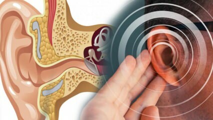 Maladie de l'oreille: quelles sont les causes de Menier? Quels sont les symptômes de Ménière? Y a-t-il un remède?