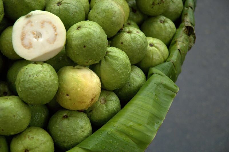 fruit de guavan non mûr 