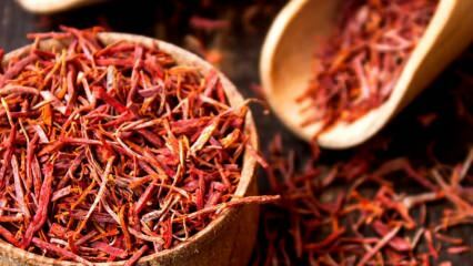 Quels sont les bienfaits de la fleur de safran? Pour quelles maladies le safran est-il bon? Comment est fabriqué le thé au safran?