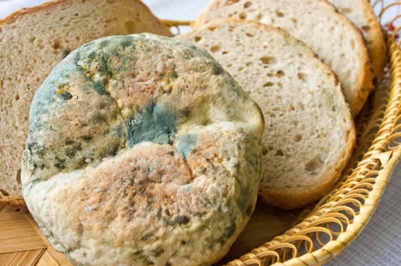 Façons d'éviter que le pain ne devienne rassis et moisi
