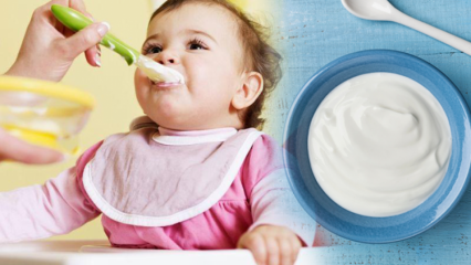 Comment faire du yaourt pour les bébés? Recettes de yaourt aux fruits maison pour bébés
