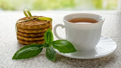 Quels sont les bienfaits du basilic? Où le basilic est-il utilisé? Comment faire du thé au basilic?