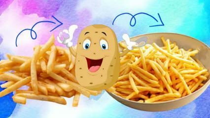 Comment faire frire des pommes de terre croustillantes? Recette pratique de frites