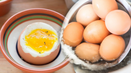 Quels sont les avantages d'un œuf à faible ébullition? Que se passe-t-il si vous mangez deux œufs durs par jour?