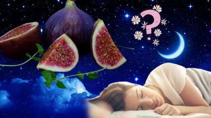 Que signifie voir un figuier dans un rêve? Que signifie rêver de manger des figues? Cueillir des figues d'un arbre dans un rêve
