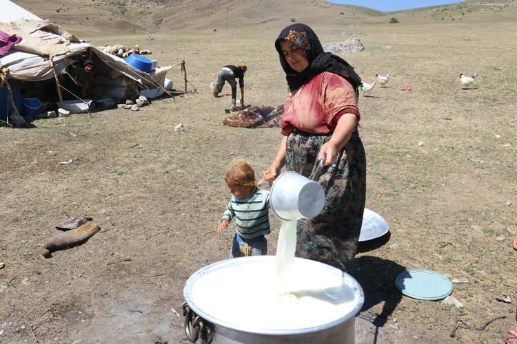 Le parcours `` lait '' stimulant des femmes nomades sur des ânes!