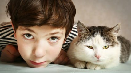 Quel est l'effet des animaux de compagnie sur les enfants?