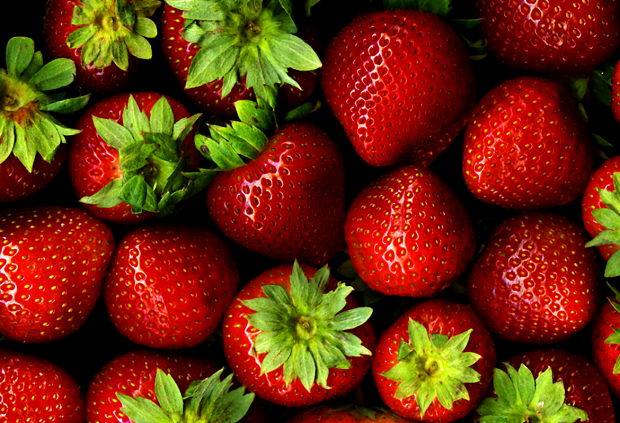 Symptômes de l'allergie aux fraises