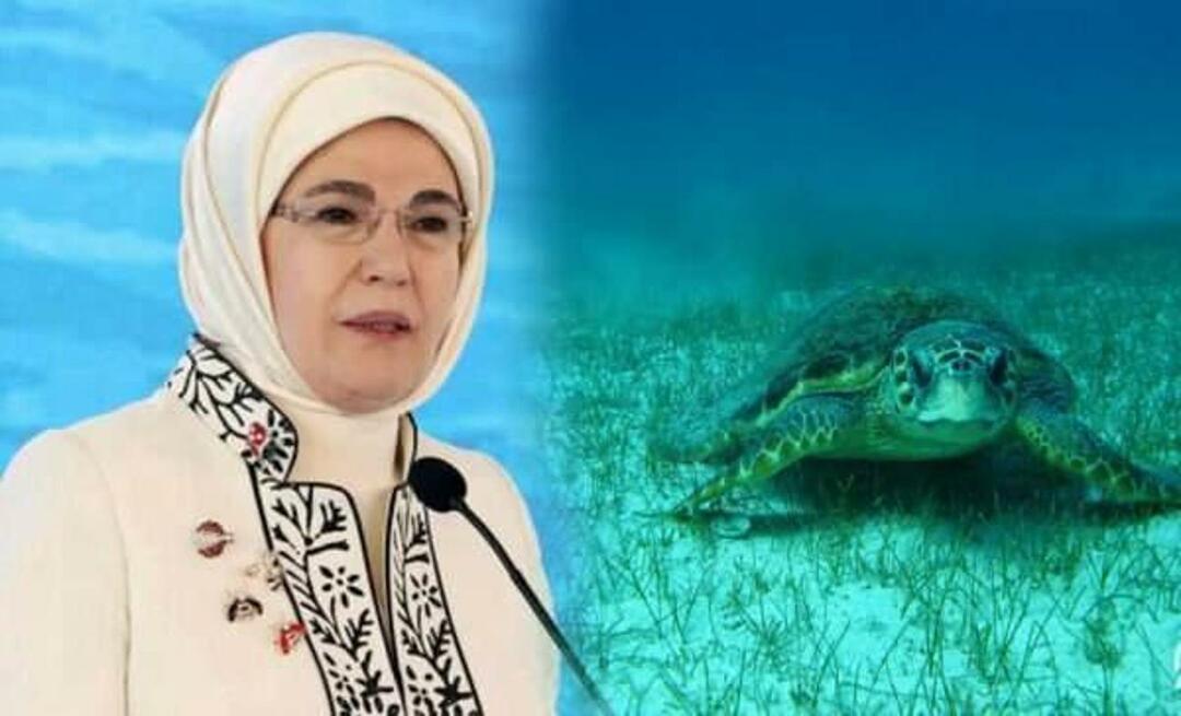 Partage "tortue de mer" d'Emine Erdoğan: "Tant qu'on les protège, elles continueront à vivre"
