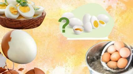 Régime aux œufs durs! L'œuf vous rassasie-t-il? 12 kilos en une semaine 