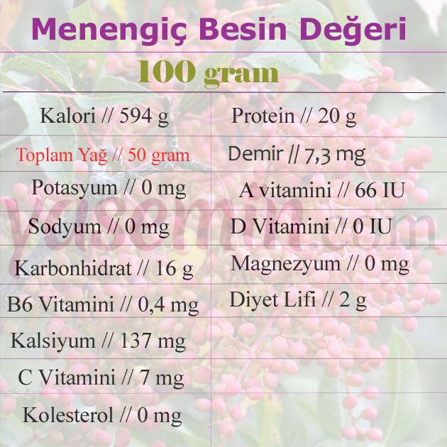 valeur nutritionnelle du menengiç 