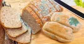 Comment éviter la moisissure du pain pendant le Ramadan? Façons d'empêcher le pain de devenir rassis et moisi