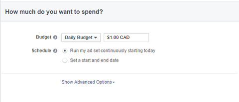 options de budget pour les publicités Facebook