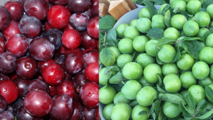 Quels sont les avantages de la prune cerise verte et rouge? Que fait le jus de prune cerise rouge?