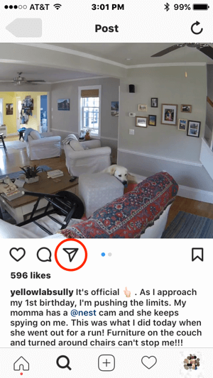 Si Nest voulait contacter cet utilisateur d'Instagram pour obtenir l'autorisation d'utiliser son contenu, il pouvait lancer la communication en appuyant sur l'icône de message direct.