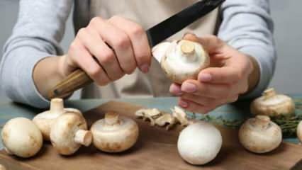 Comment éplucher les champignons? Comment empêcher le noircissement du champignon, quelles sont les astuces