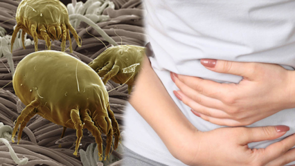 Où se trouve la partie la plus sale du corps et comment est-elle nettoyée? Quelles sont les maladies causées par les parasites? 