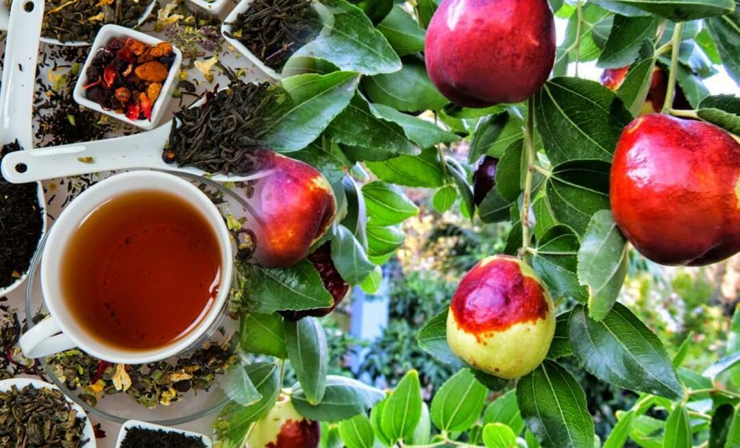 Quels sont les bienfaits du thé au jujube recommandé par Ibn Sina? A quoi sert le thé au jujube ?