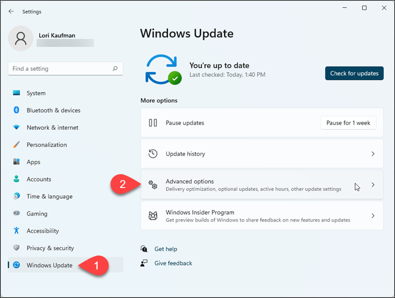 Allez dans Windows Update > Options avancées dans les paramètres de Windows 11