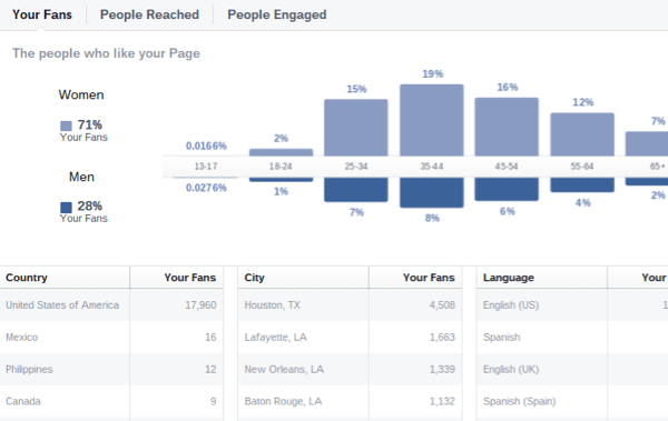 Facebook insights données démographiques de l'audience