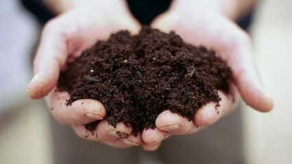 Comment éviter le moulage du sol en pot?