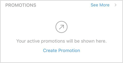 Promotions Instagram Insights