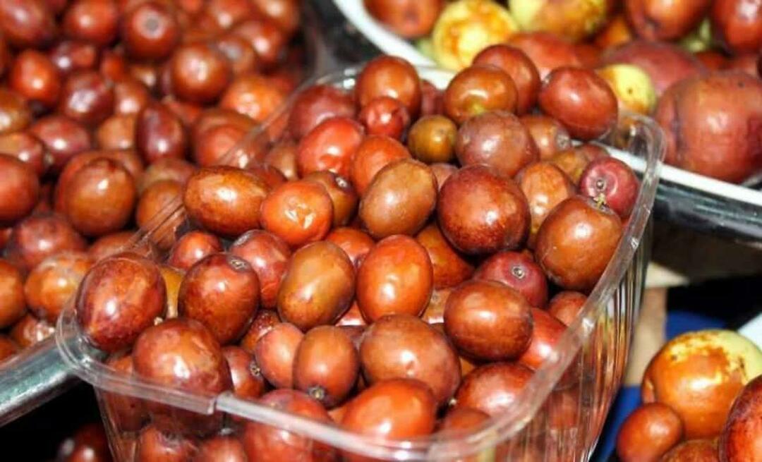 Quels sont les bienfaits du jujube? Comment consommer le jujube ?