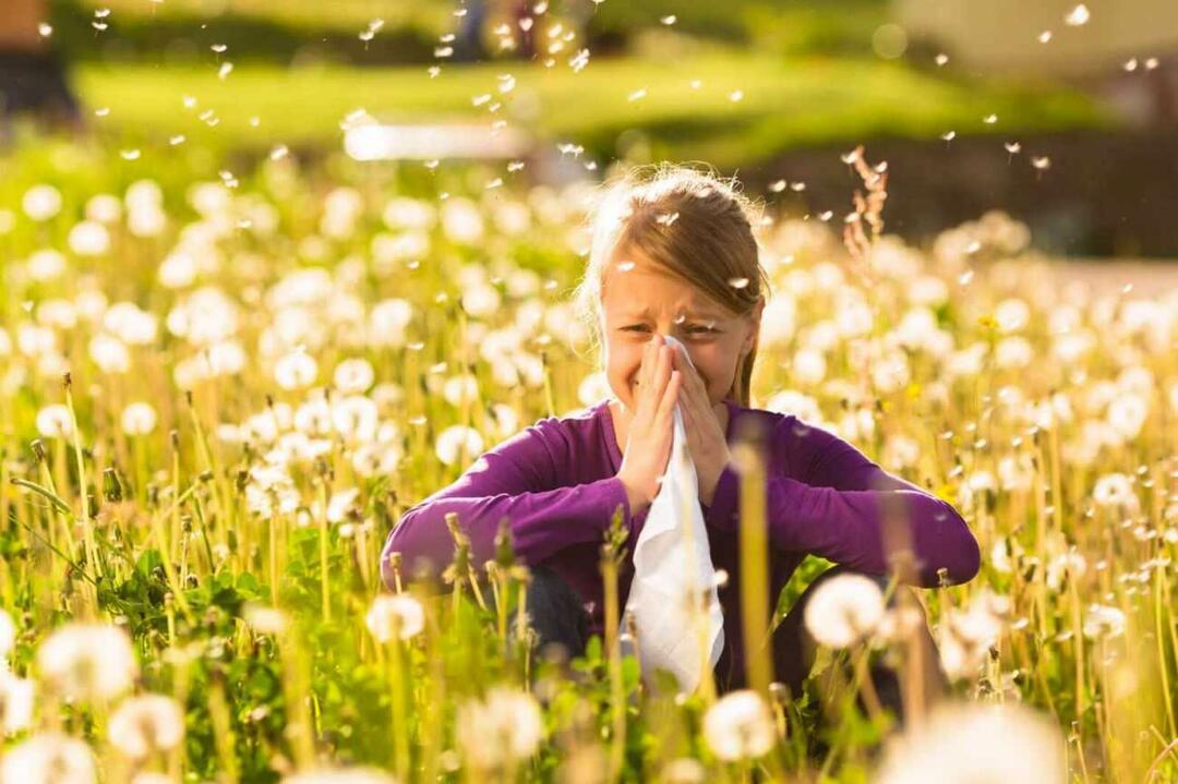 Que faut-il considérer pour protéger les enfants des allergies saisonnières