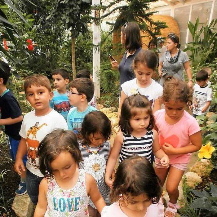 Ferme aux papillons Beykoz