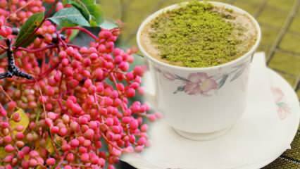 Quels sont les avantages de la graine de Menengiç (Çitlembik)? Que fait le café Menengiç?